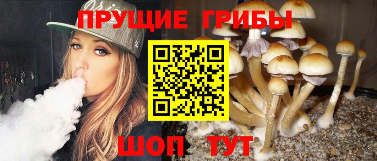 купить  сайты  Вход с VPN  Кореновск  Галлюциногенные грибы мицелий 